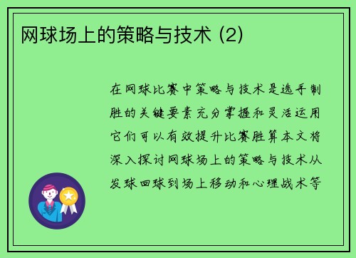 网球场上的策略与技术 (2)